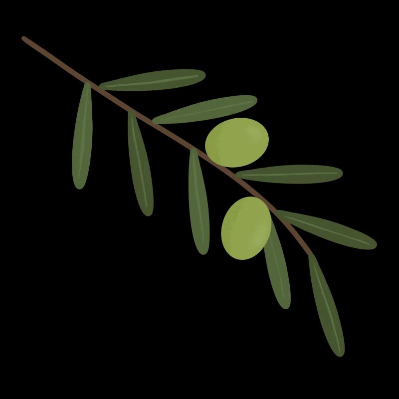 Olive Branch