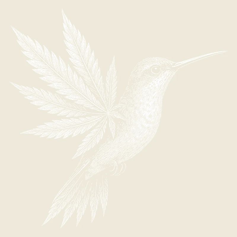 Colibri
