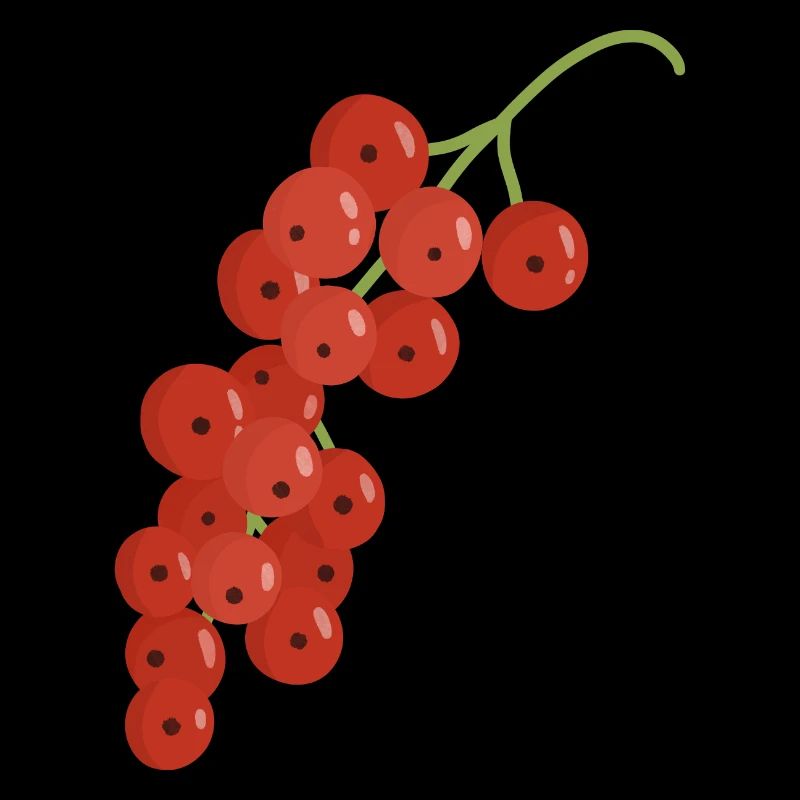 Groseilles rouges