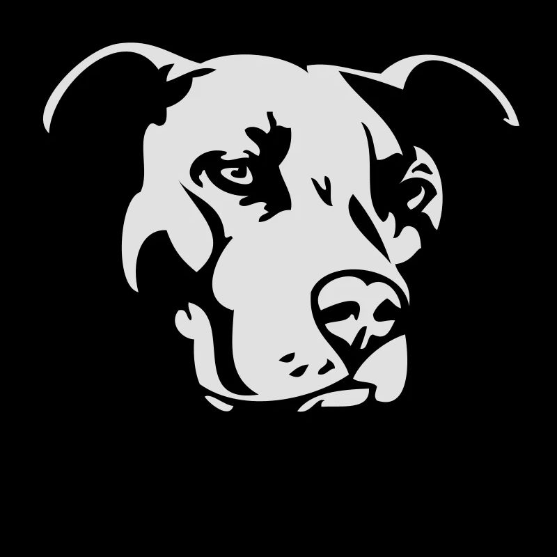 Pitbull zweifarbig 2 - Hund Kampfhund