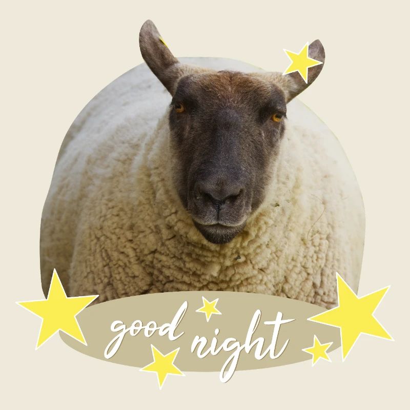 sheep good night