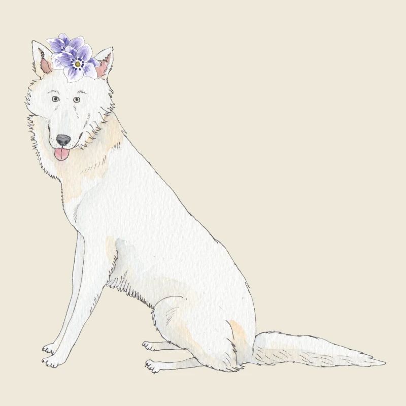 Schwiss shehperd blanc avec fleur