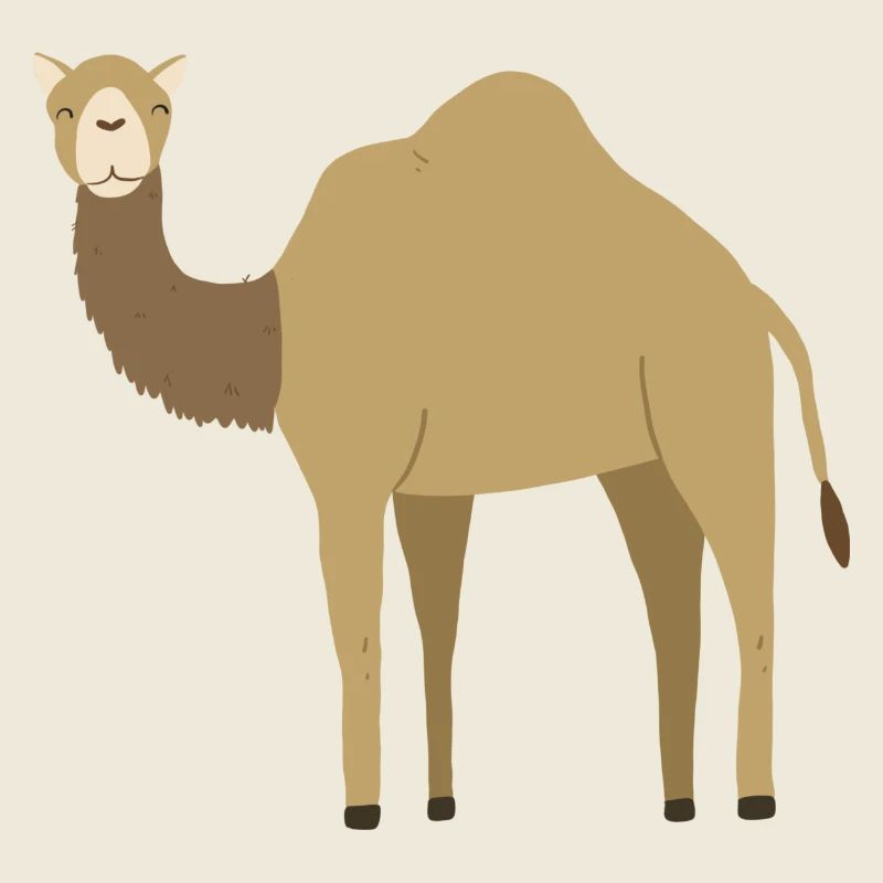 Dromadaire