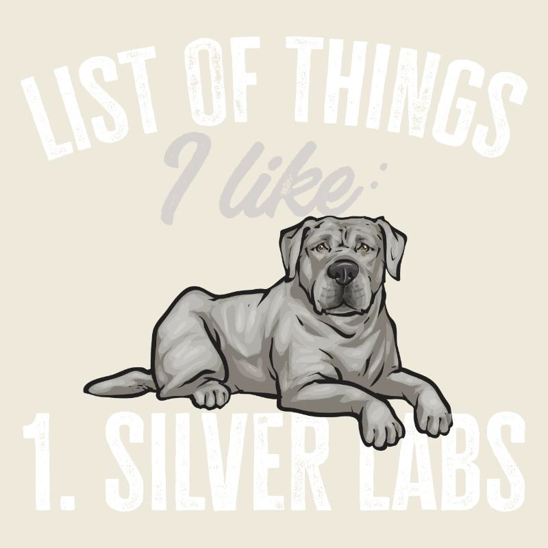Silver Labrador Retriever Silver Lab