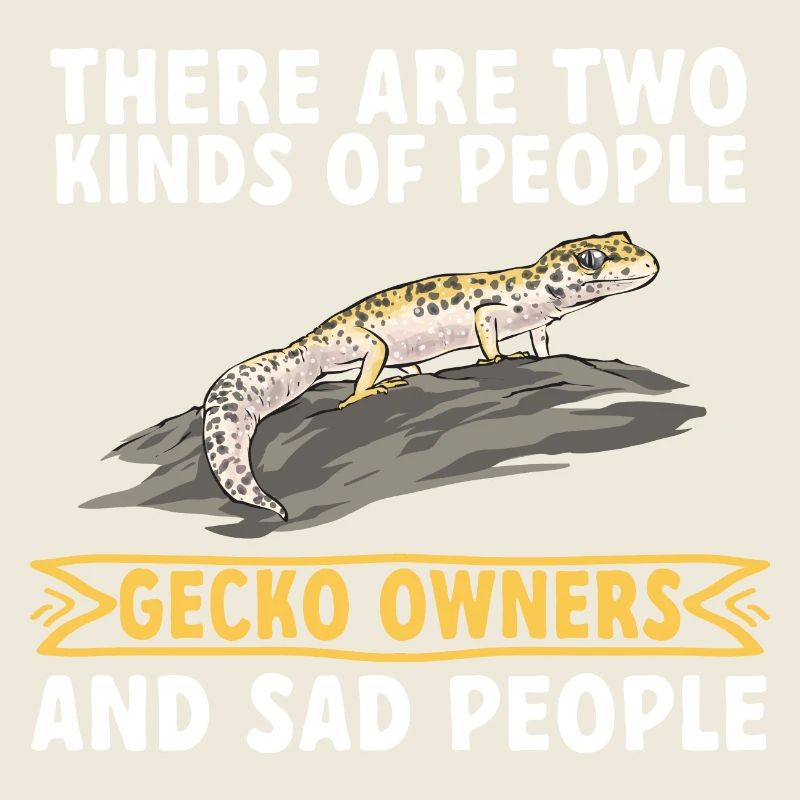 Leopardgecko Reptil Haustier Gecko