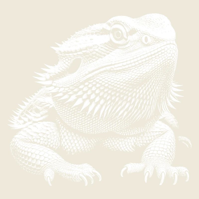 Dragon barbu