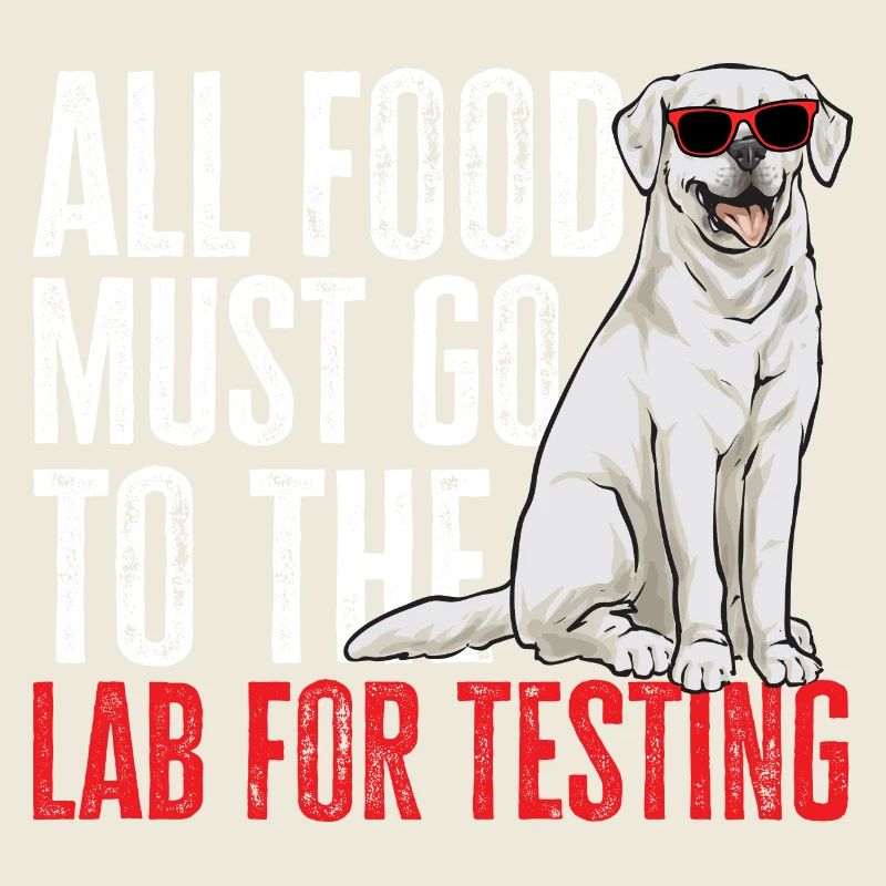 Weißer Labrador Retriever Weißer Lab