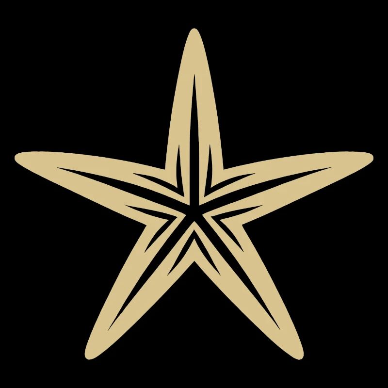 Seestern Meerestier Meer Sommer Urlaub