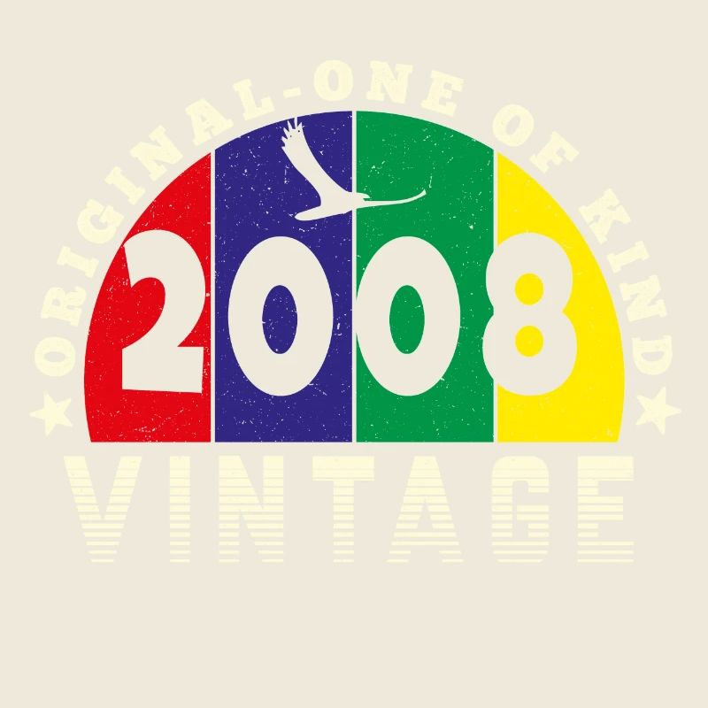 Vintage 2008 Retro - Bursdag
