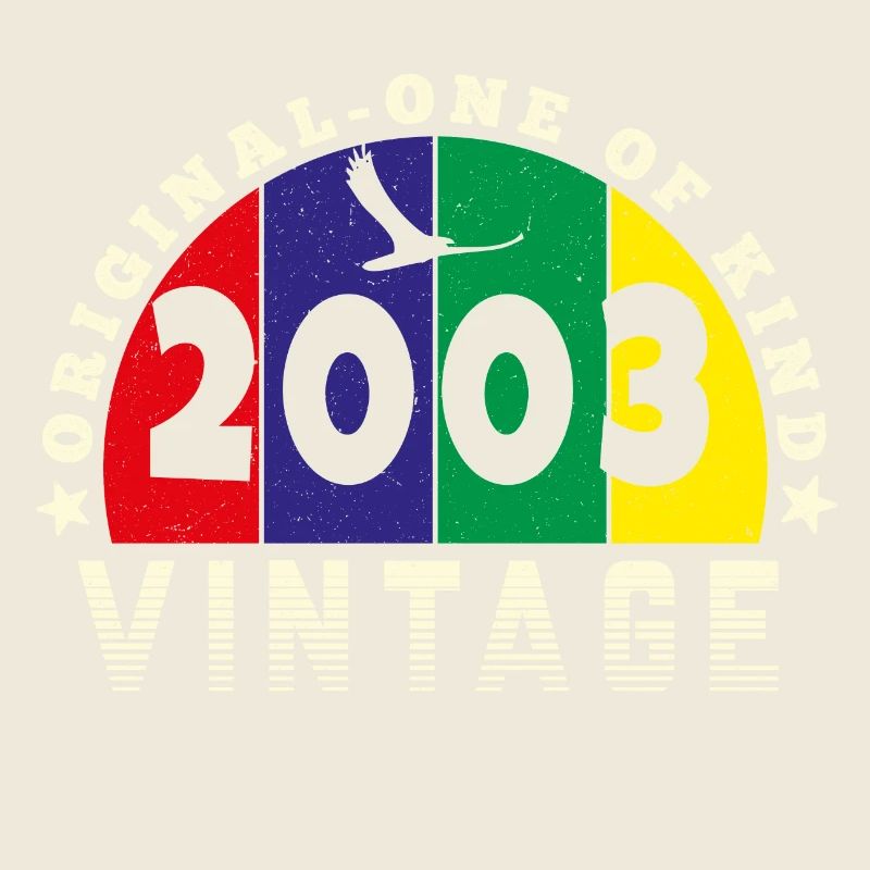 Vintage 2003 Retro - Bursdag