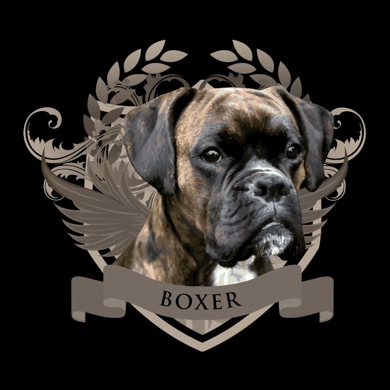Boxer dog