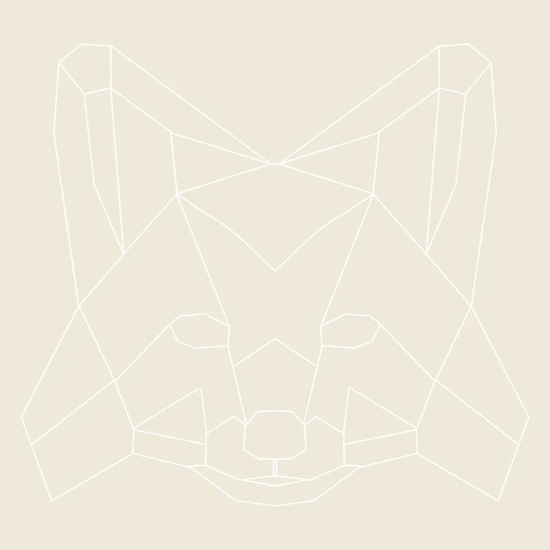 Fuchs polygons white