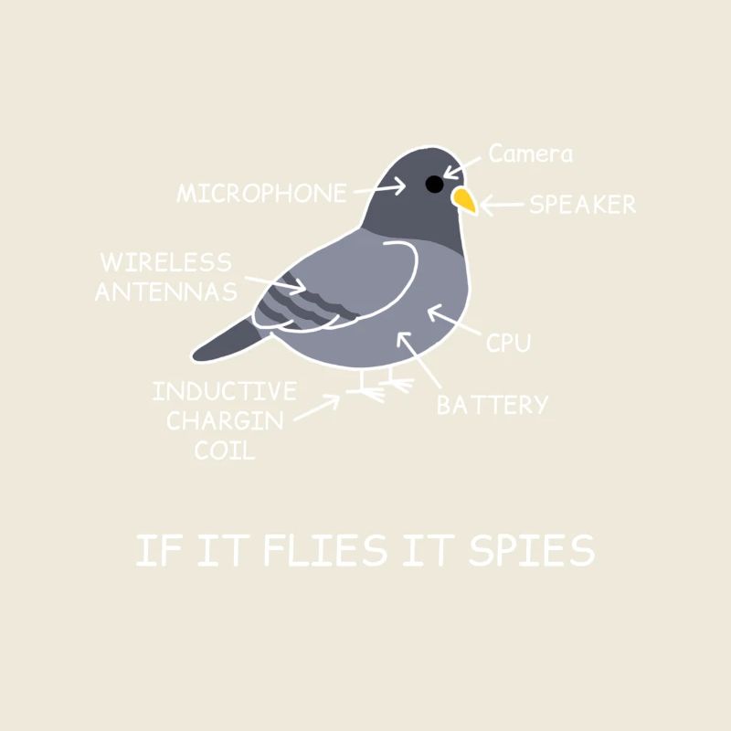 Pidgeon are liars