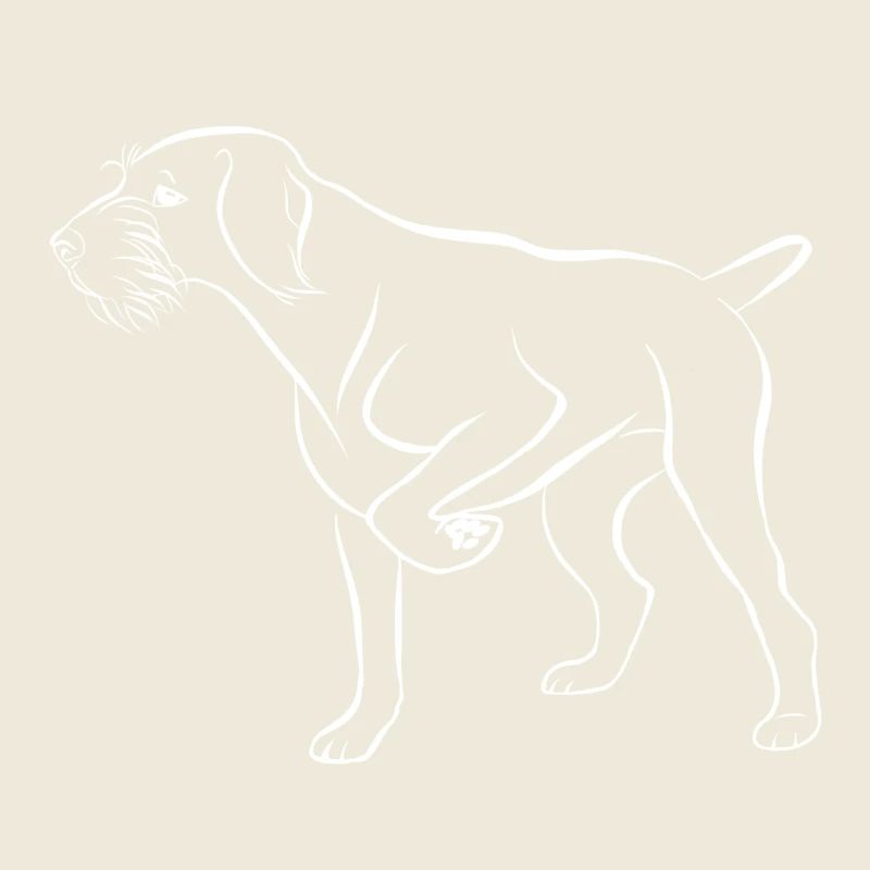 DT filaire blanc dessus