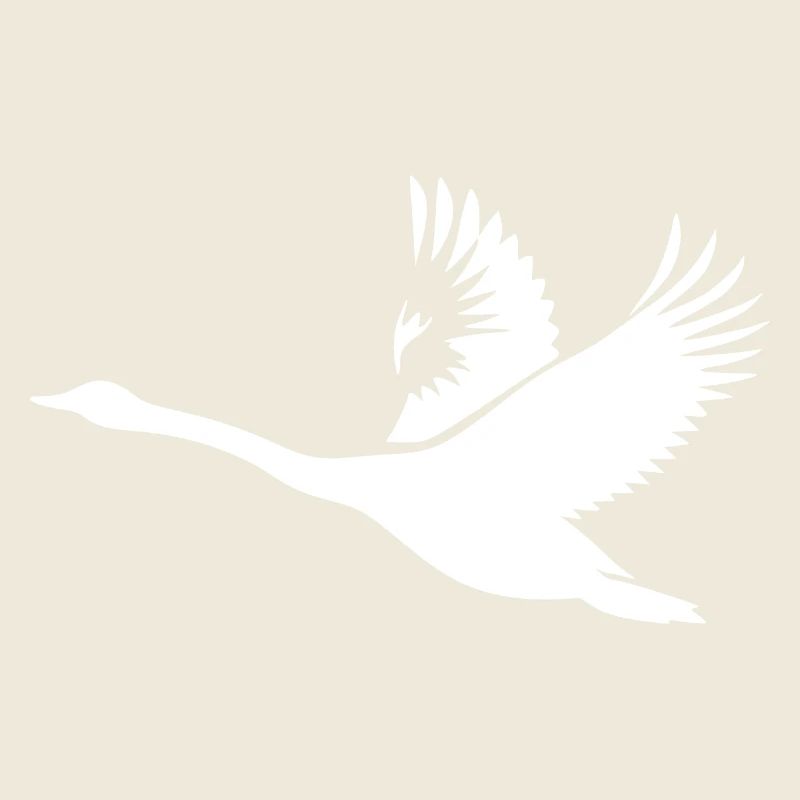 Singschwan mit kräftiges Flügeln