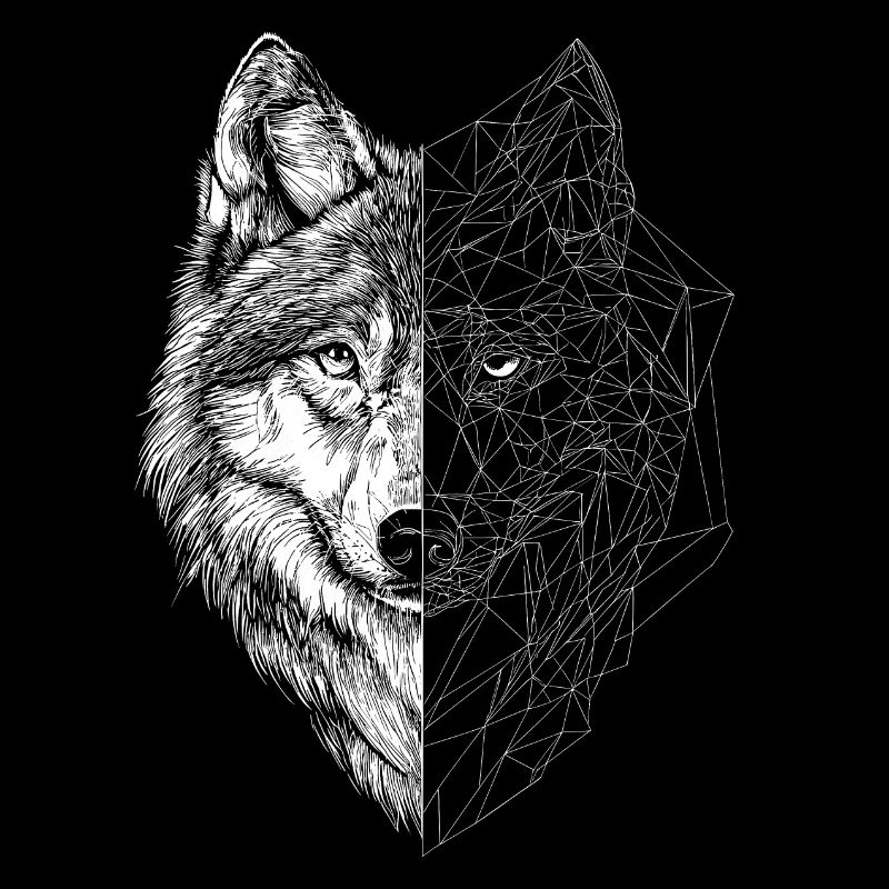 Wolf / Husky amazing