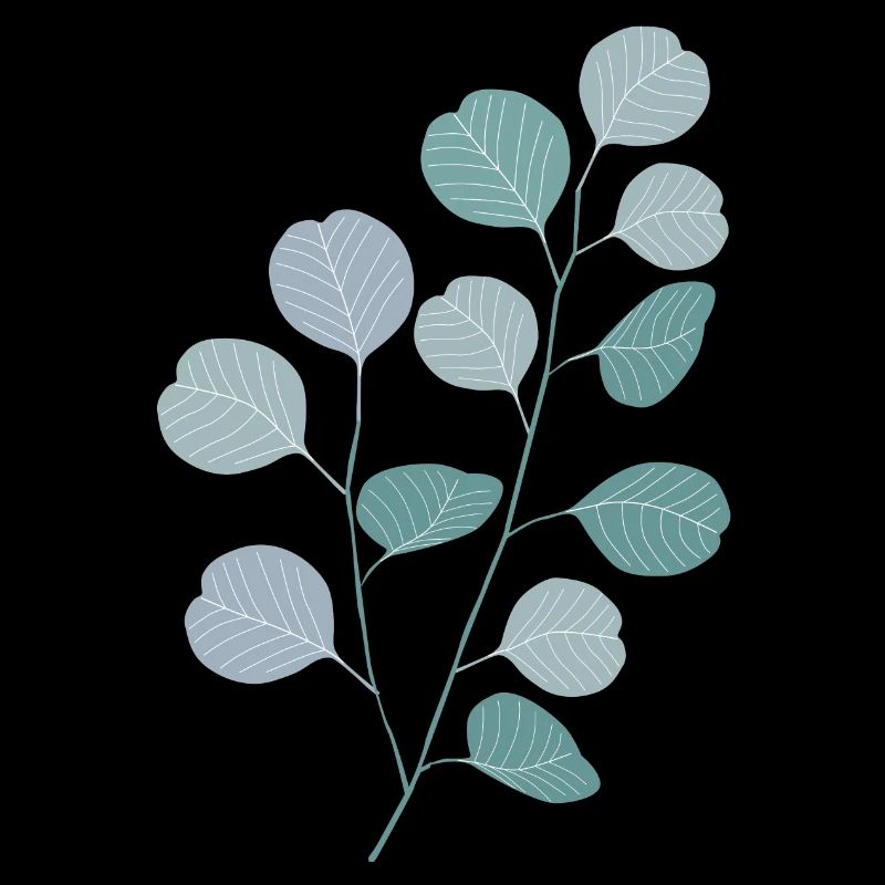 Eukalyptus Pflanze Natur Design Eucalyptus Style