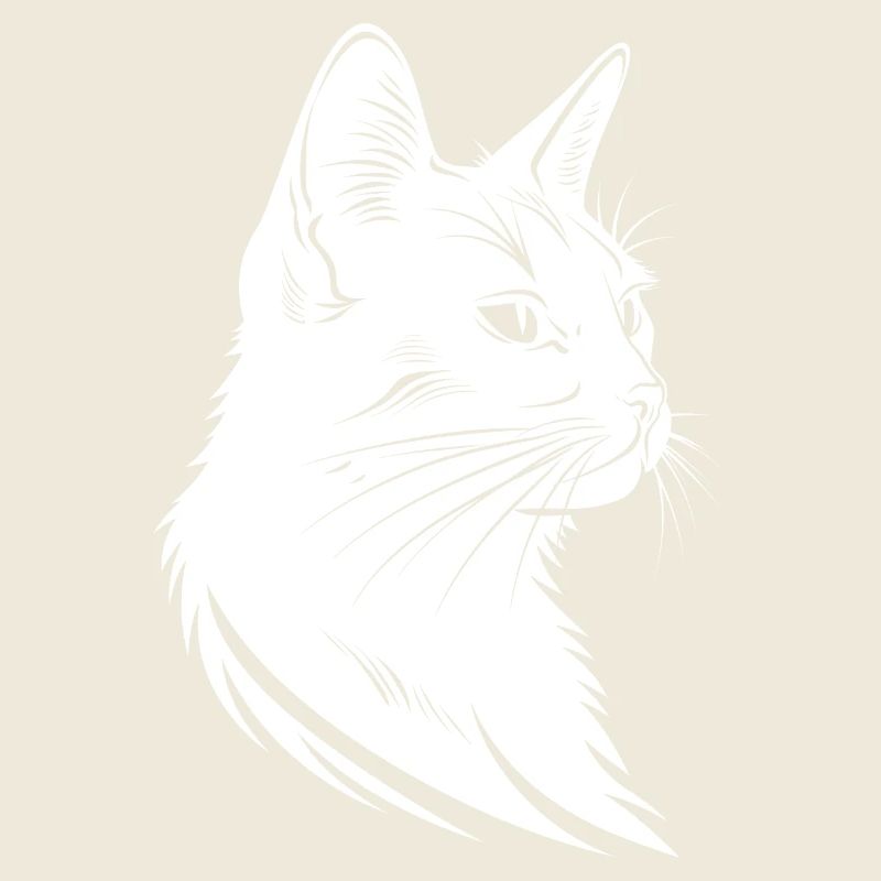 Croquis de chat