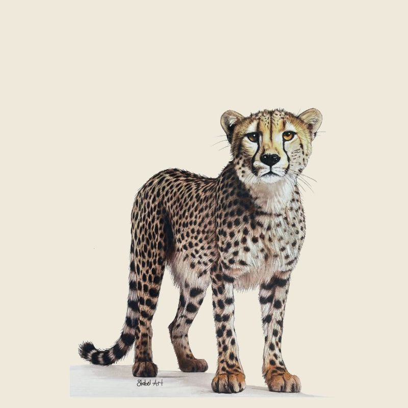 Guépard - Gepard