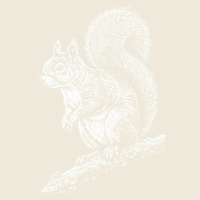 Squirrel Silhouette on Branch