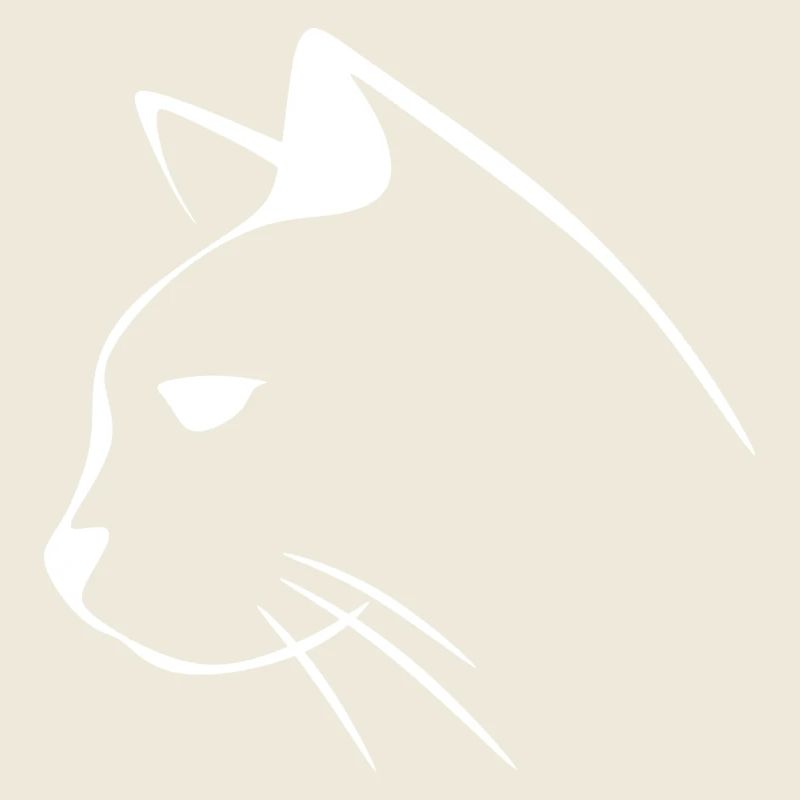 Kitten cat cats cats