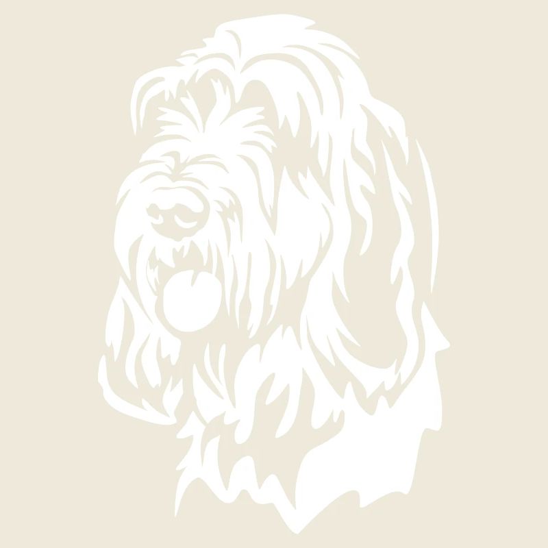 Tête Spinone Italiano « Black Edition »
