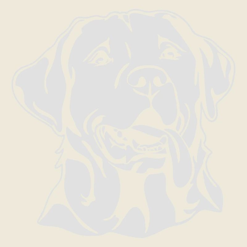 PORTRAIT DU LABRADOR