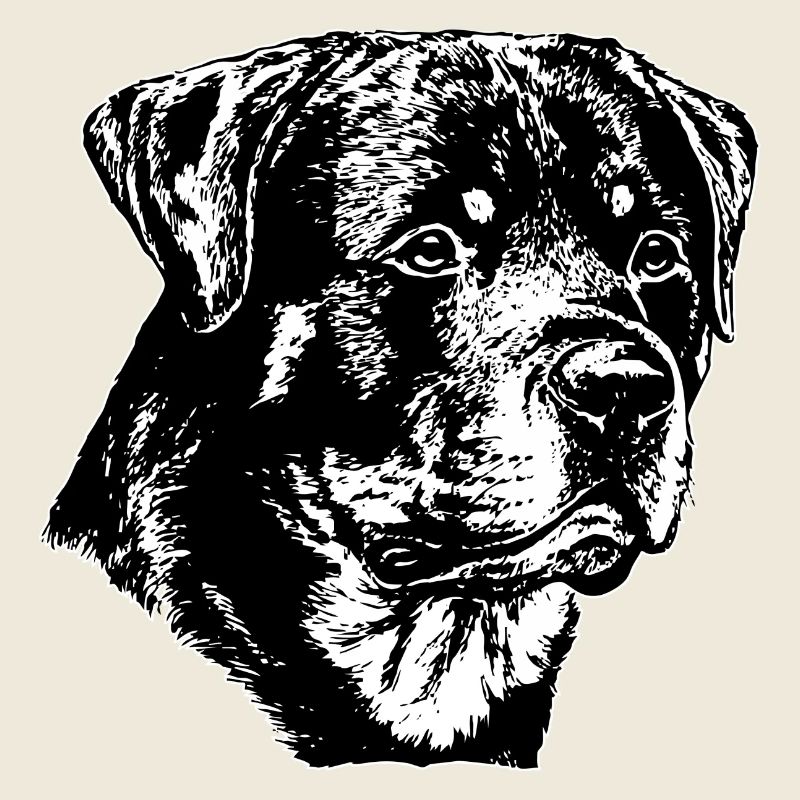Chien Rottweiler