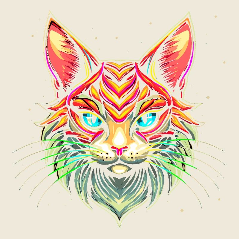 Maine Coon Katze