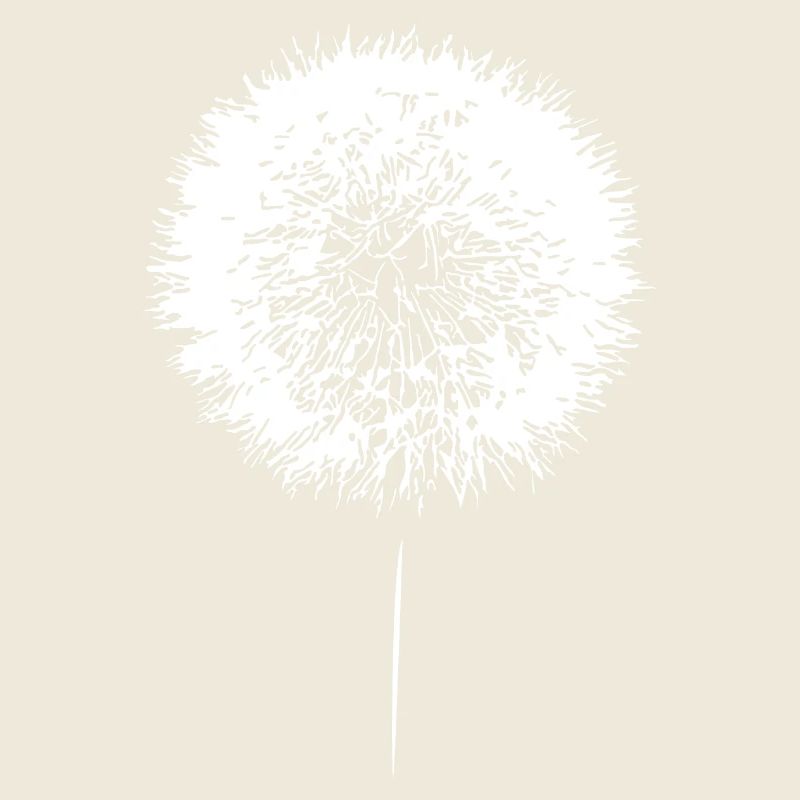 Löwenzahn Pusteblume Dandelion Samen