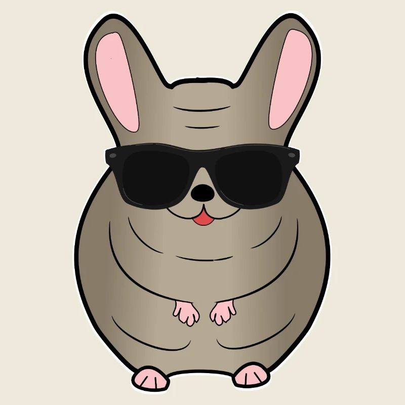Chinchilla