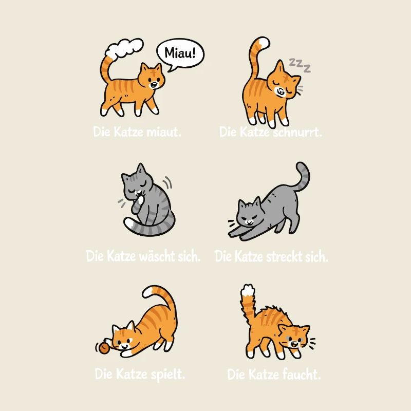 Katzenleben – Schnurrhaare & Katzenliebe