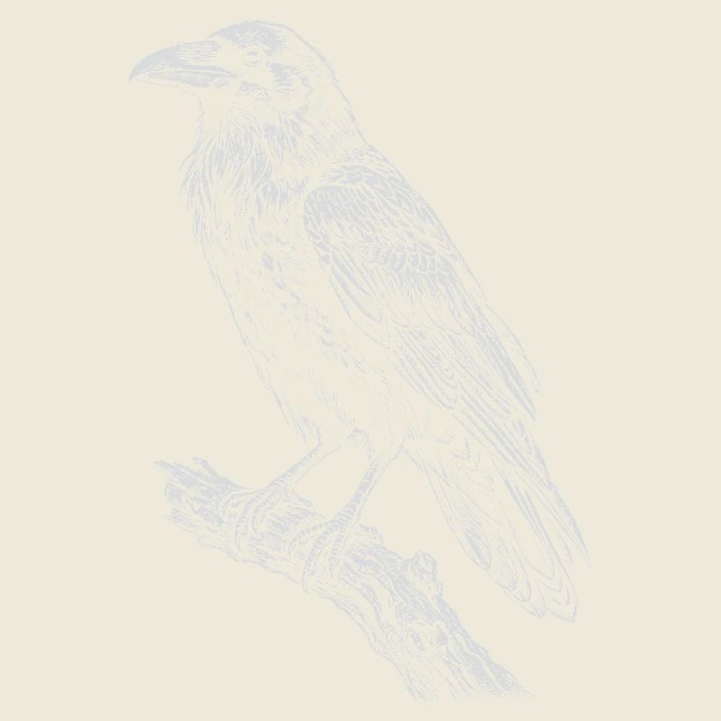 Raven sitzt auf dem Ast