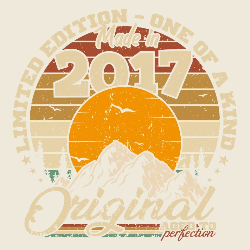 Made in 2017 Geburtstagsgeschenk 2017 Retro 2017