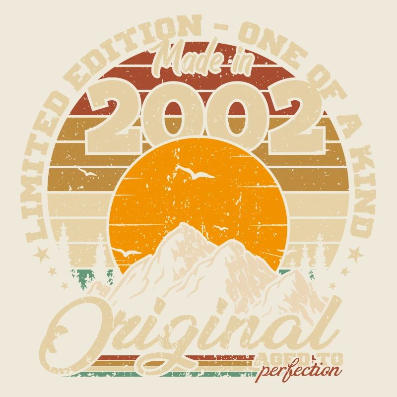 Made in 2002 Retro 2002 Birthday Gift