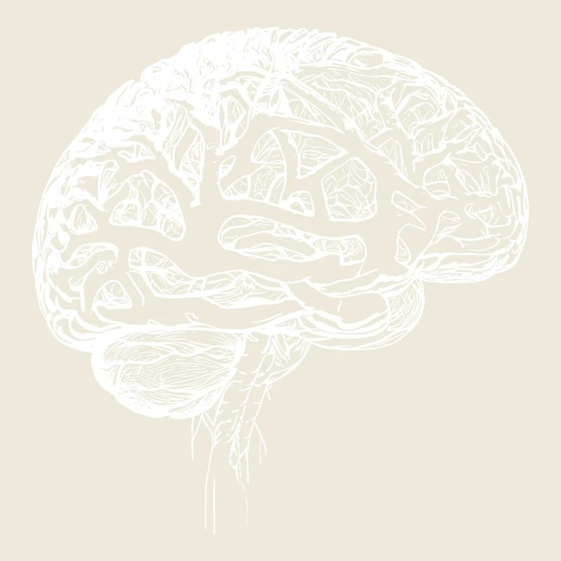 Medizinisches Anatomisches Gehirn Nervengewebe