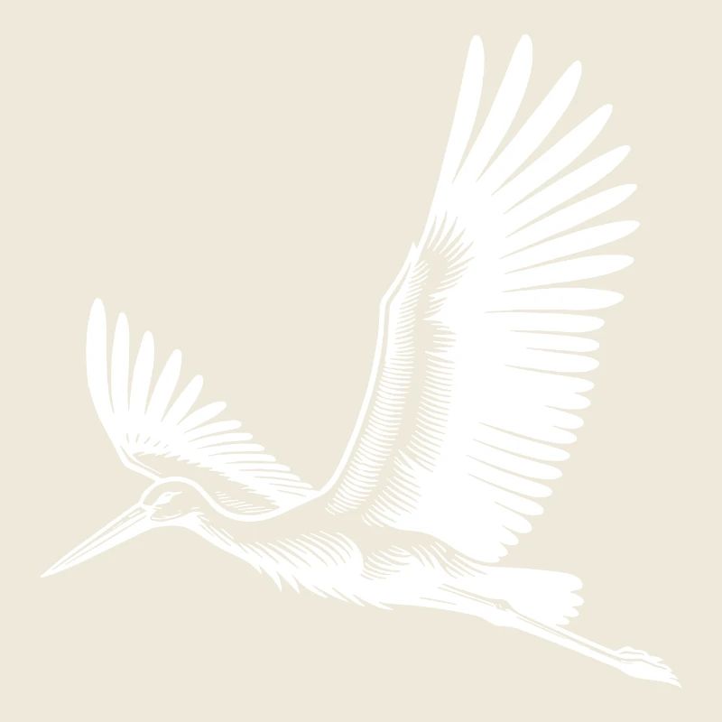 Flying stork on broad wings