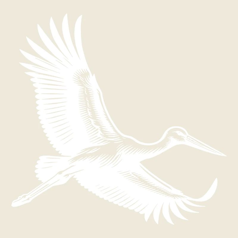 Cigogne volante dans un vol plané élégant
