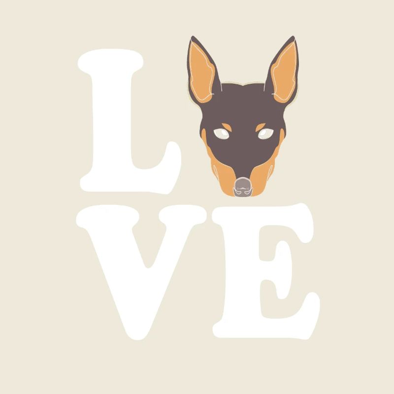 Pinscher nain