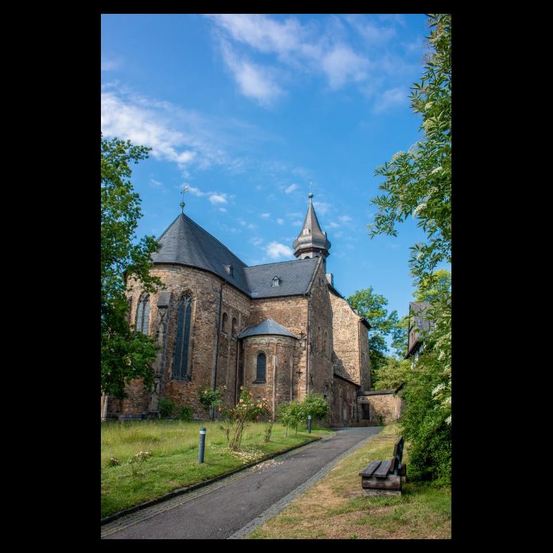 parish church St. Peter and Paul Goslar