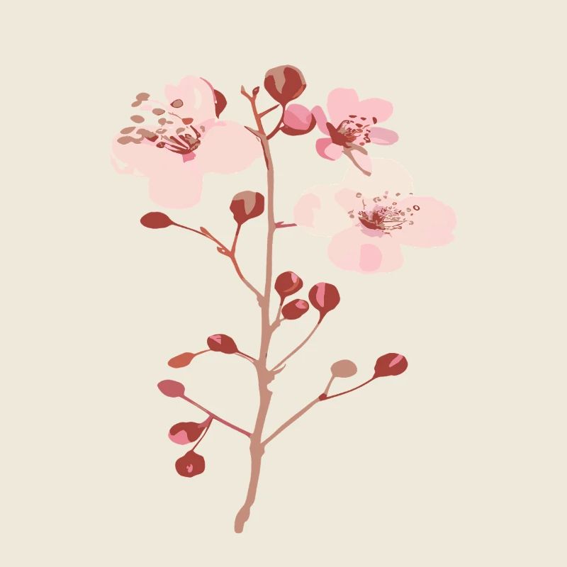 Blossoms from the cherry tree sakura