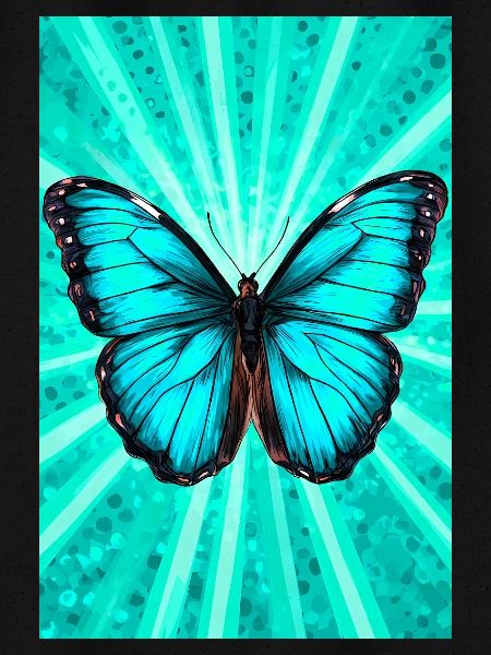 butterfly