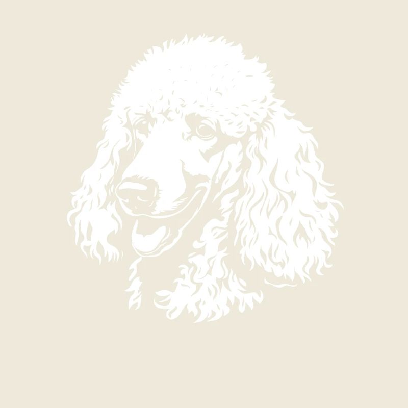 Caniche - Fan de chien
