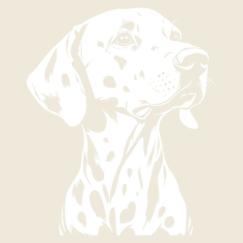 Dalmatiens - Fan de chien
