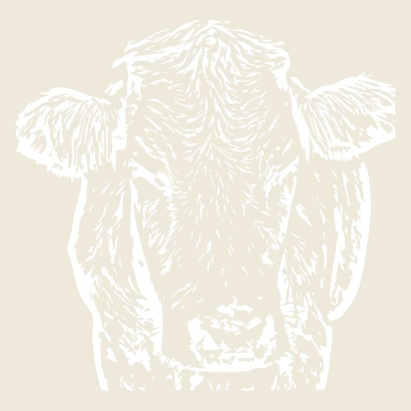 Cow White Cow Head