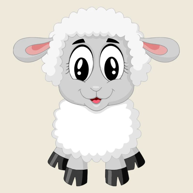 Sheep Baby Lamb