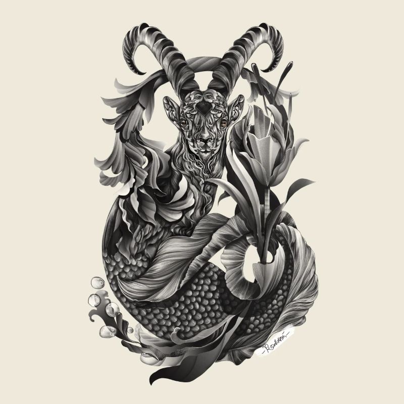 Steinbock Sternzeichen