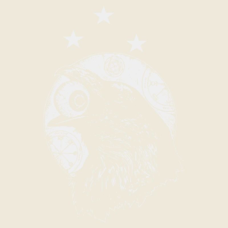 Corbeau noir