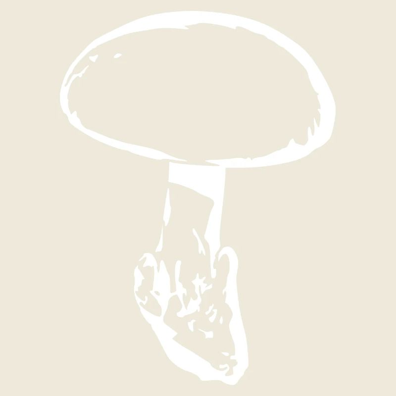 Champignon blanc, cueillette de champignons