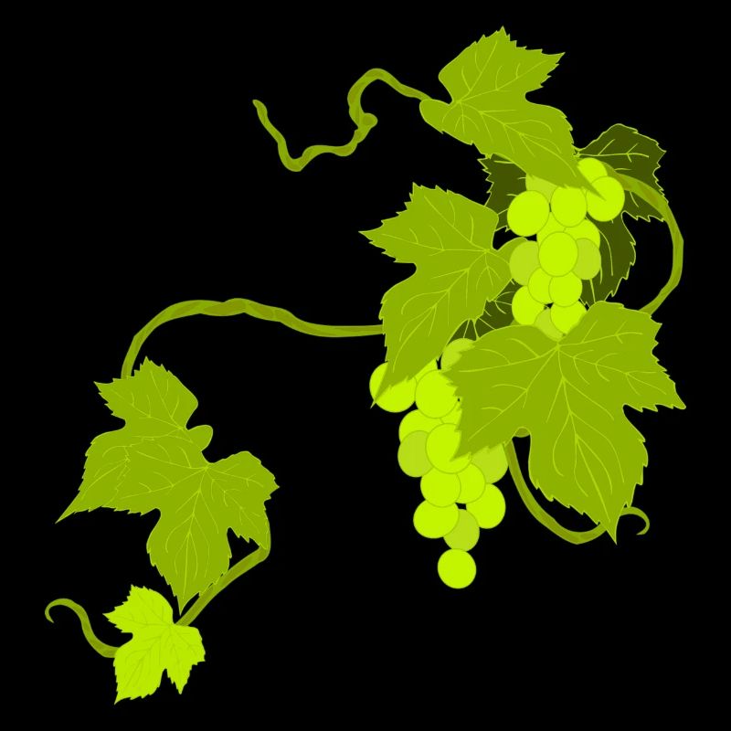 vines